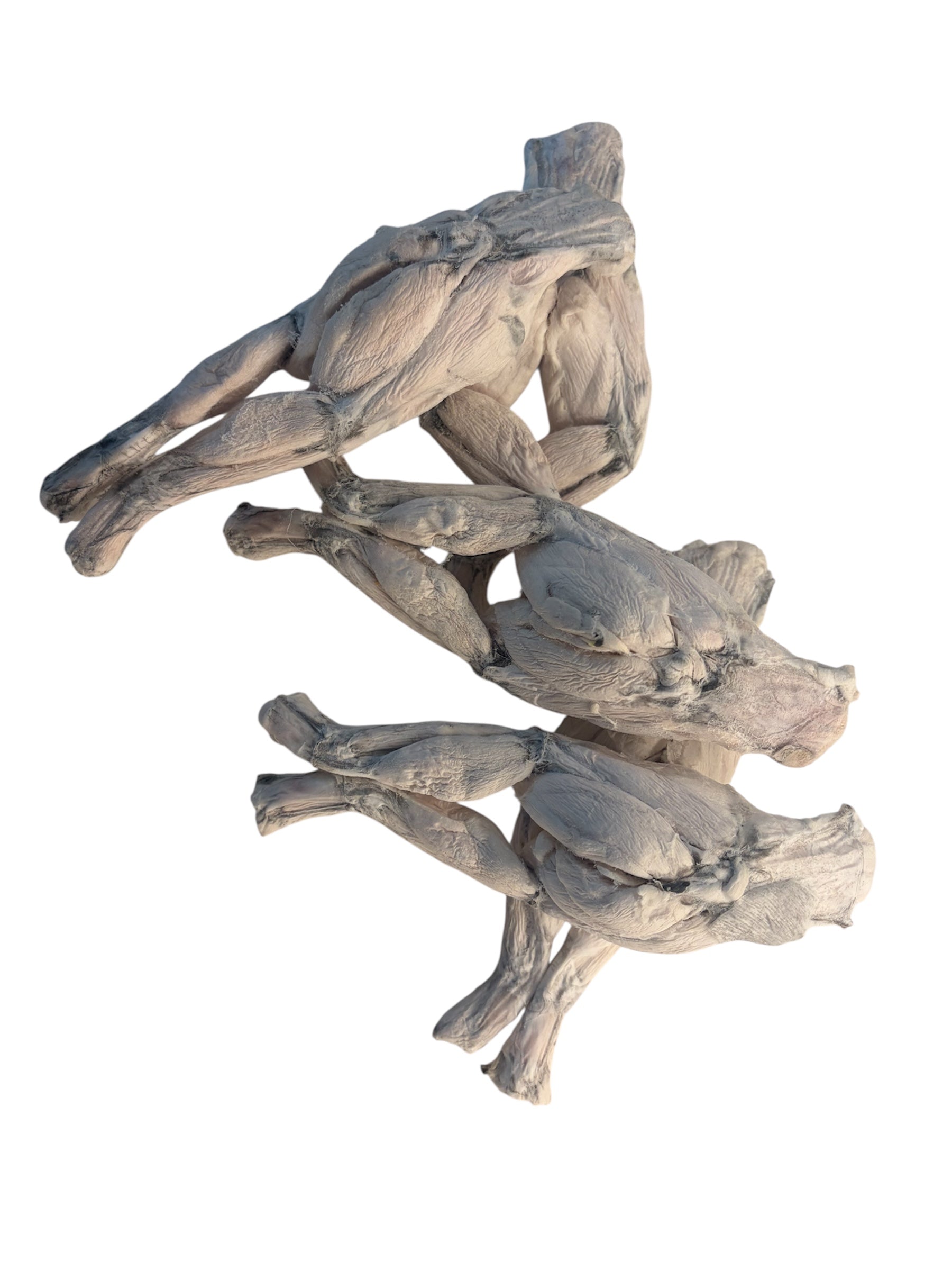 Freeze Dried Frog Legs