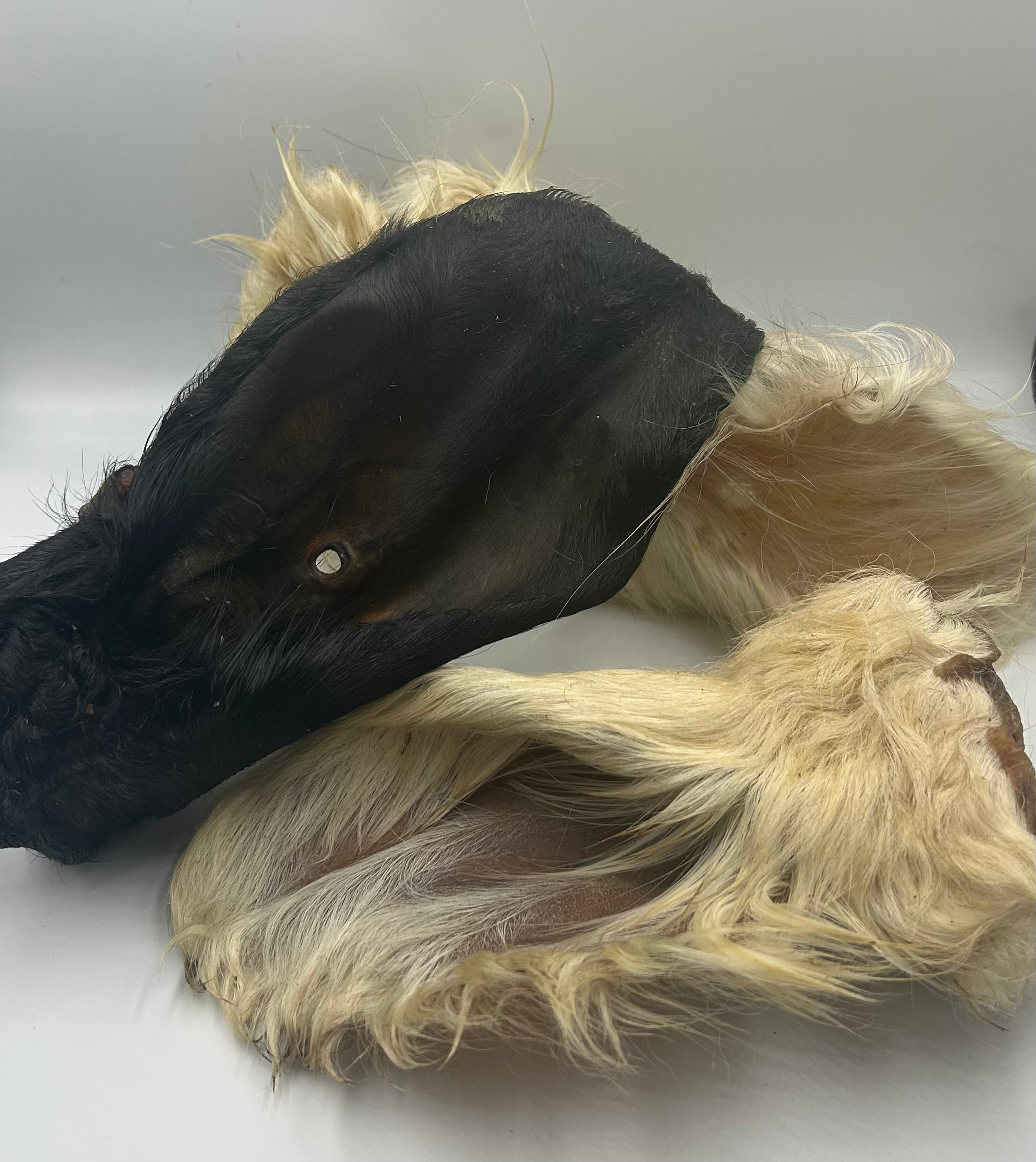 Furry dehydrated Cow Ear