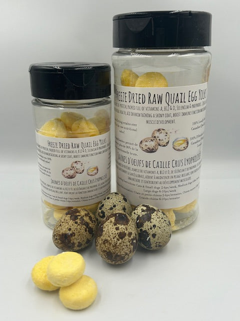 Freeze Dried Quail Egg Yolks