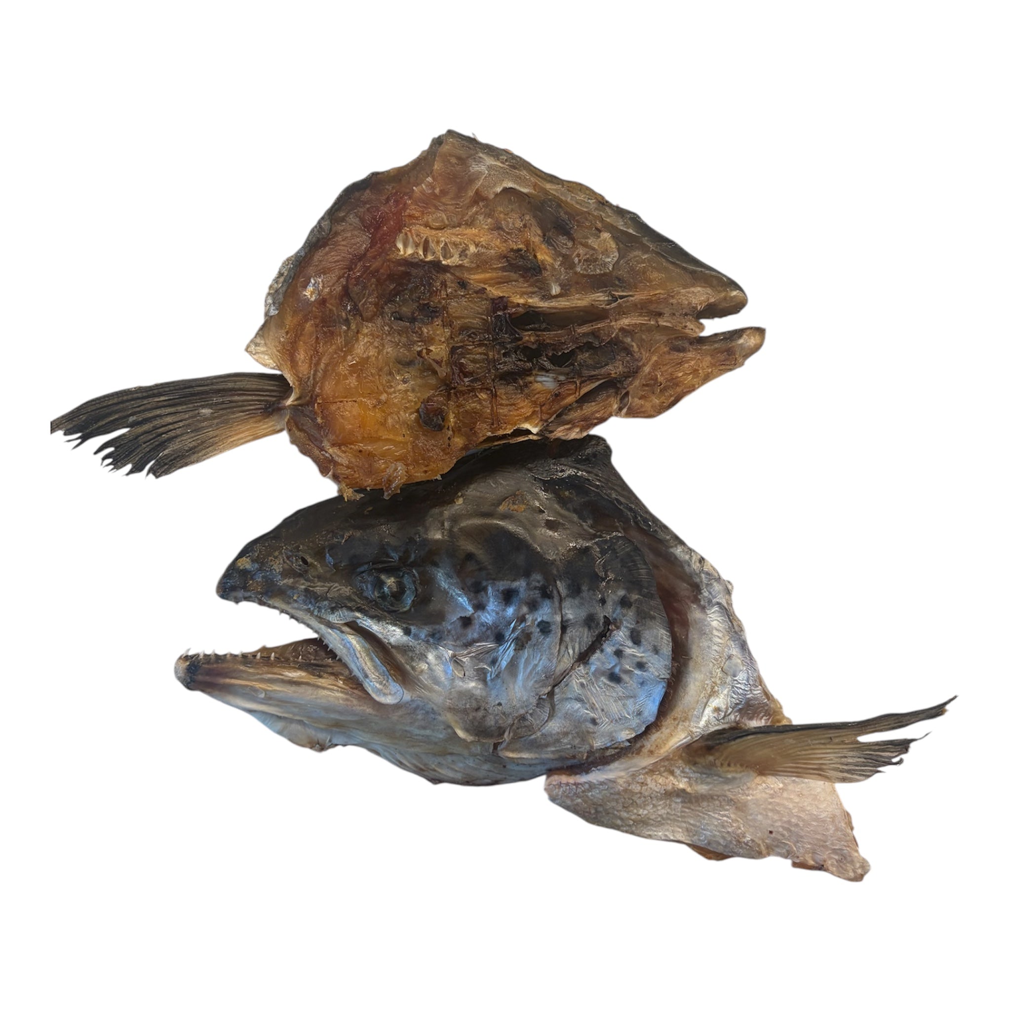 Dehydrated Halved Salmon Heads