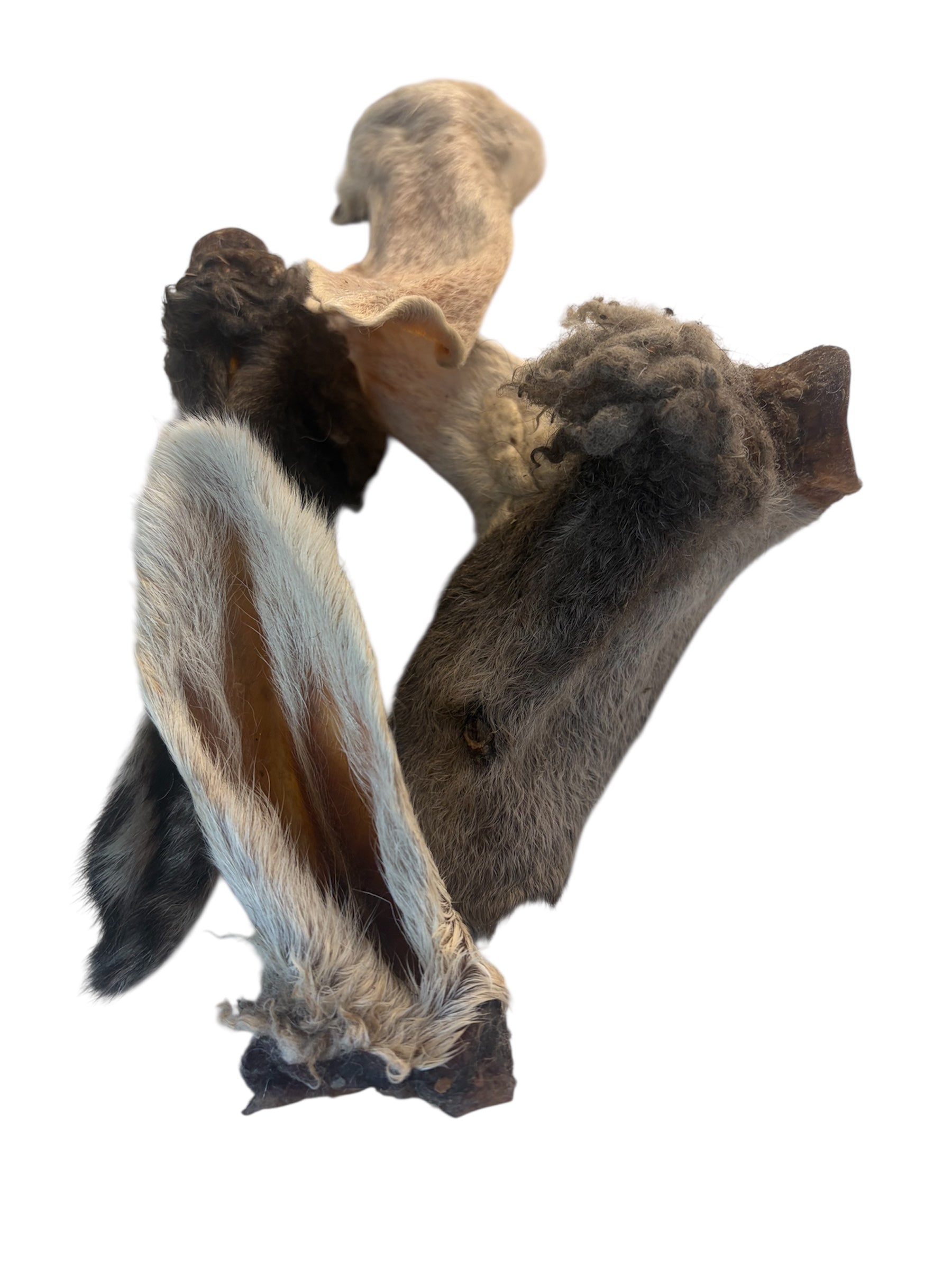 Dehydrated Furry Lamb Ears