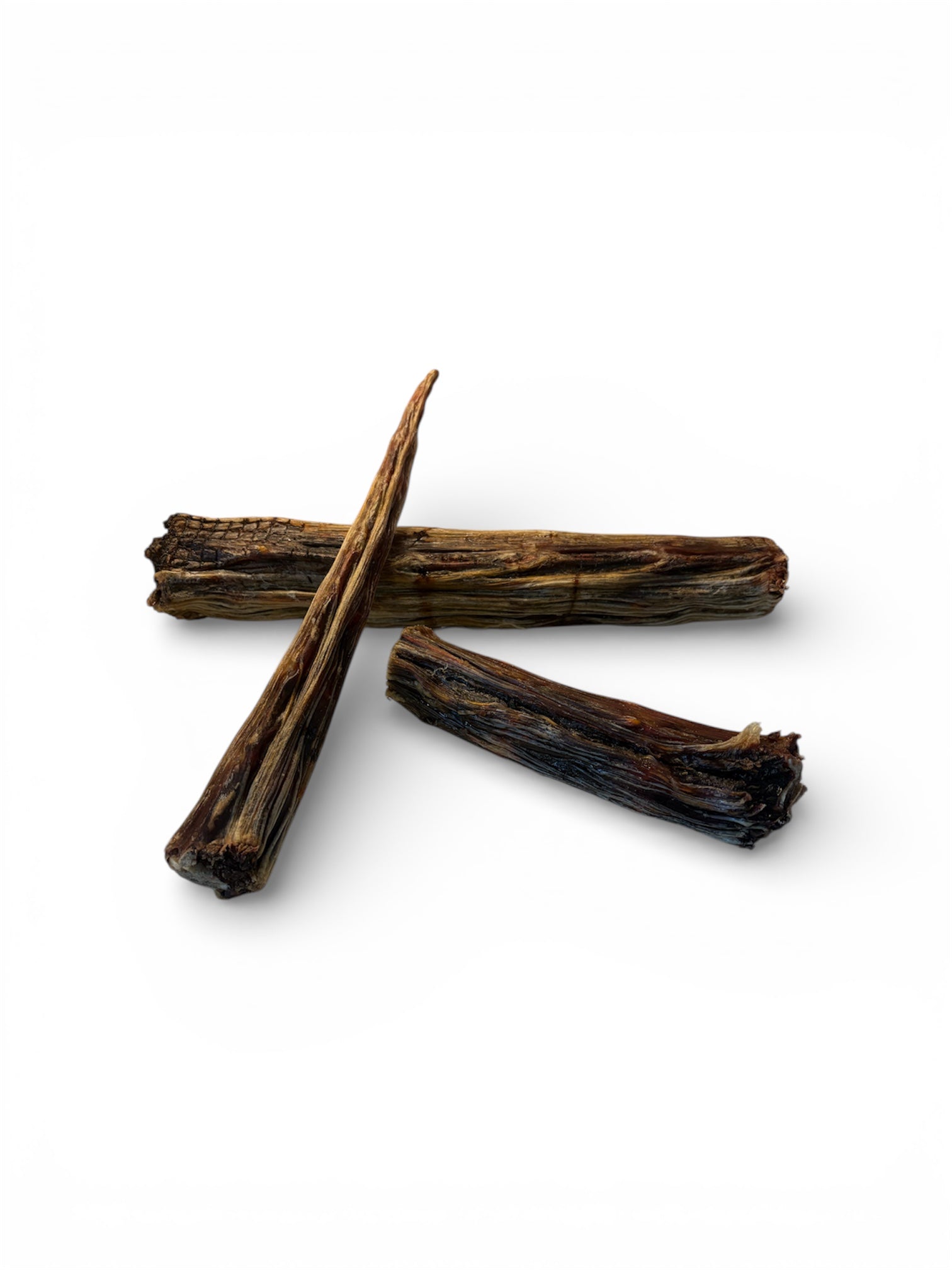 Dehydrated Kangaroo Tail